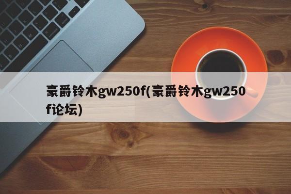 豪爵铃木gw250f(豪爵铃木gw250f论坛)
