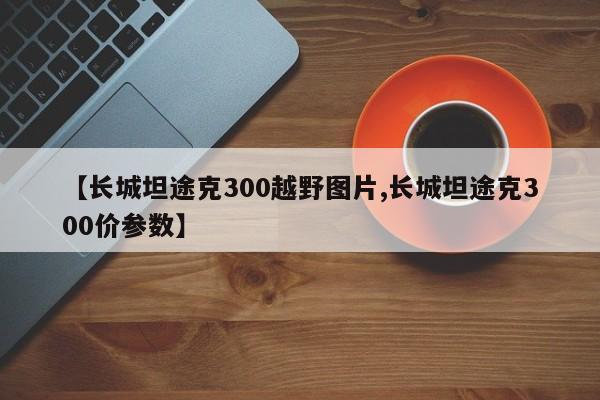 【长城坦途克300越野图片,长城坦途克300价参数】