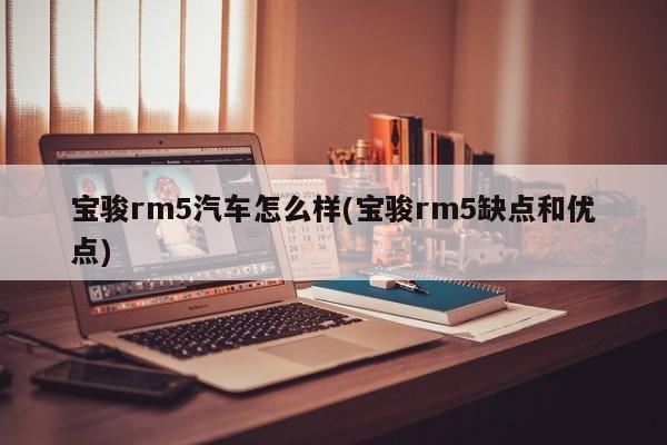 宝骏rm5汽车怎么样(宝骏rm5缺点和优点)